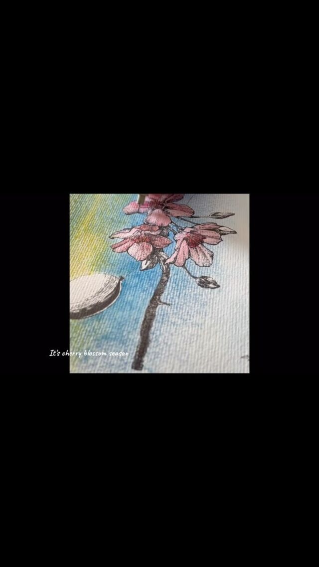 そろそろ桜の季節⭐︎
少しづつ咲き始めている頃でしょうか♬
日本では色々な気持ちが行き交う季節ですね⭐︎
卒業と新しい出会い♬

動画は2019年に描いたペンのイラストを、秋の個展のため、今になって改めて色を加えて完成させている様子です。

桜の季節に日本に帰国したのはいつだったかな…？

今年も桜餅の代わりにイースターエッグのチョコレートをいただくことにしましょ♬

It's almost cherry blossom season ⭐︎
Is it the time when they gradually start blooming? 
In Japan, it's a season where various feelings intertwine ⭐︎
Graduation and new encounters ♬

The video shows the process of adding colors to a pen illustration I drew in 2019 for an autumn exhibition, now completing it.

I wonder when I returned to Japan during cherry blossom season...

This year, let's enjoy Easter egg shaped chocolate instead of sakura mochi ♬

#cherryblossom🌸 #pendrawnillustration
#illustration
#ペンイラスト
#桜　#さくら　#さくらのイラスト　#penillustration
#TikTok #shortvideo
#ショート動画ㅤ #個展in東京　#Exhibitionintokyo
#個展準備中 #Preparationforexhibition